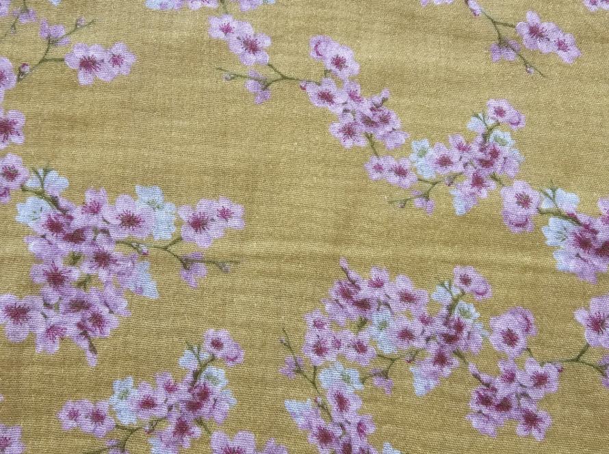 Cherry Blossom